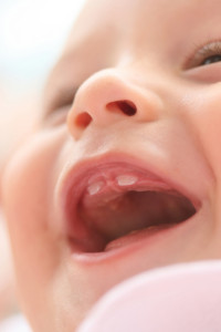 iStock_000006947400_Small