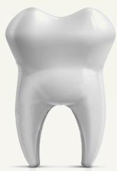 tooth